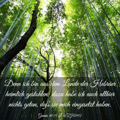 Picture 03 - Genesis 40:15 LUTH1912 - Denn ich bin aus dem Lande der Hebräer heimlich - Bible Verse Picture