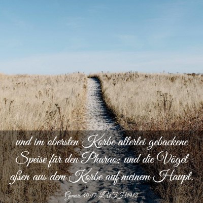 Picture 03 - Genesis 40:17 LUTH1912 - und im obersten Korbe allerlei gebackene Speise - Bible Verse Picture