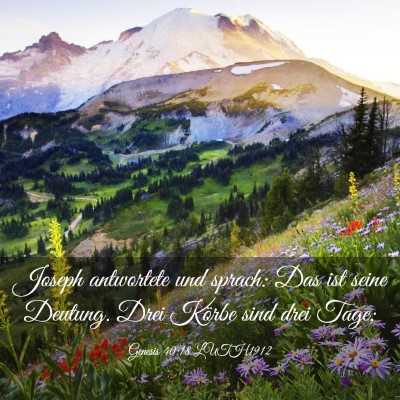 Picture 03 - Genesis 40:18 LUTH1912 - Joseph antwortete und sprach: Das ist seine - Bible Verse Picture