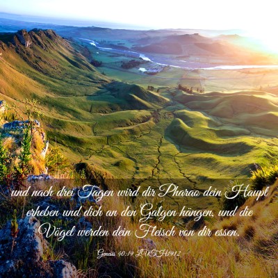 Picture 03 - Genesis 40:19 LUTH1912 - und nach drei Tagen wird dir Pharao dein Haupt - Bible Verse Picture