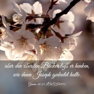 Picture 03 - Genesis 40:22 LUTH1912 - aber den obersten Bäcker ließ er henken, wie - Bible Verse Picture