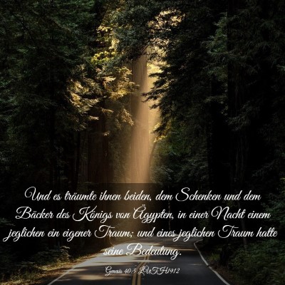 Picture 03 - Genesis 40:5 LUTH1912 - Und es träumte ihnen beiden, dem Schenken und - Bible Verse Picture
