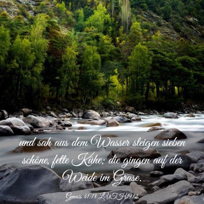 Picture 03 - Genesis 41:18 LUTH1912 - und sah aus dem Wasser steigen sieben schöne, - Bible Verse Picture