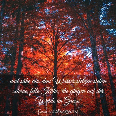 Picture 03 - Genesis 41:2 LUTH1912 - und sähe aus dem Wasser steigen sieben schöne, - Bible Verse Picture