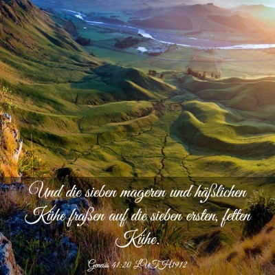Picture 03 - Genesis 41:20 LUTH1912 - Und die sieben mageren und häßlichen Kühe - Bible Verse Picture