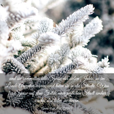 Picture 03 - Genesis 41:48 LUTH1912 - und sie sammelten alle Speise der sieben Jahre, - Bible Verse Picture
