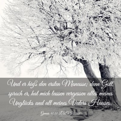 Picture 03 - Genesis 41:51 LUTH1912 - Und er hieß den ersten Manasse; denn Gott, - Bible Verse Picture