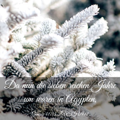 Picture 03 - Genesis 41:53 LUTH1912 - Da nun die sieben reichen Jahre um waren in - Bible Verse Picture