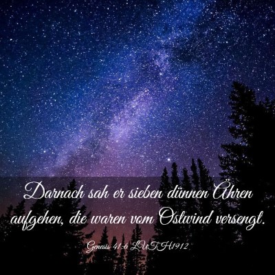 Picture 03 - Genesis 41:6 LUTH1912 - Darnach sah er sieben dünnen Ähren aufgehen, - Bible Verse Picture