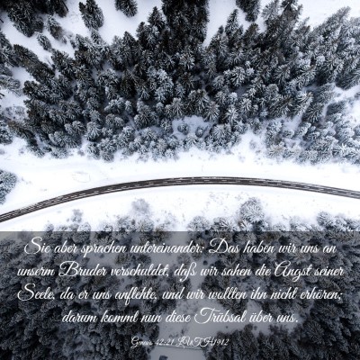 Picture 03 - Genesis 42:21 LUTH1912 - Sie aber sprachen untereinander: Das haben wir - Bible Verse Picture