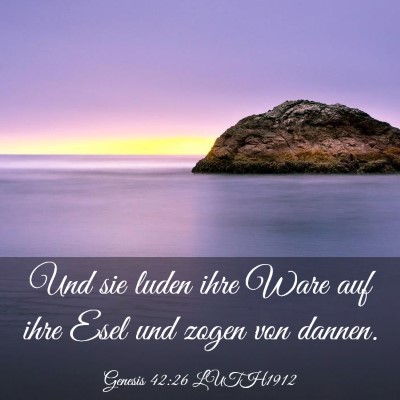 Picture 03 - Genesis 42:26 LUTH1912 - Und sie luden ihre Ware auf ihre Esel und zogen - Bible Verse Picture