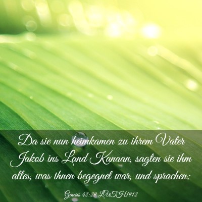 Picture 03 - Genesis 42:29 LUTH1912 - Da sie nun heimkamen zu ihrem Vater Jakob ins - Bible Verse Picture