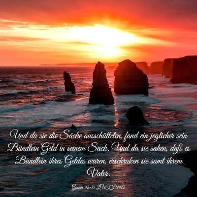 Picture 03 - Genesis 42:35 LUTH1912 - Und da sie die Säcke ausschütteten, fand ein - Bible Verse Picture