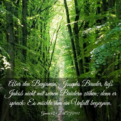 Picture 03 - Genesis 42:4 LUTH1912 - Aber den Benjamin, Josephs Bruder, ließ Jakob - Bible Verse Picture