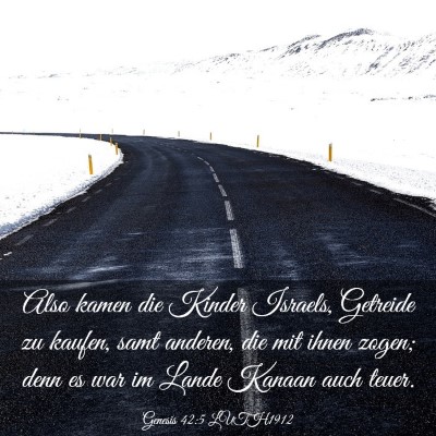 Picture 03 - Genesis 42:5 LUTH1912 - Also kamen die Kinder Israels, Getreide zu - Bible Verse Picture