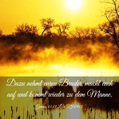 Picture 03 - Genesis 43:13 LUTH1912 - Dazu nehmt euren Bruder, macht euch auf und kommt - Bible Verse Picture