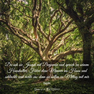 Picture 03 - Genesis 43:16 LUTH1912 - Da sah sie Joseph mit Benjamin und sprach zu - Bible Verse Picture