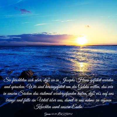 Picture 03 - Genesis 43:18 LUTH1912 - Sie fürchteten sich aber, daß sie in Josephs - Bible Verse Picture