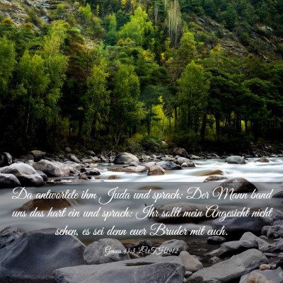 Picture 03 - Genesis 43:3 LUTH1912 - Da antwortete ihm Juda und sprach: Der Mann band - Bible Verse Picture