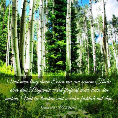 Picture 03 - Genesis 43:34 LUTH1912 - Und man trug ihnen Essen vor von seinem Tisch; - Bible Verse Picture