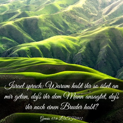 Picture 03 - Genesis 43:6 LUTH1912 - Israel sprach: Warum habt ihr so übel an mir - Bible Verse Picture