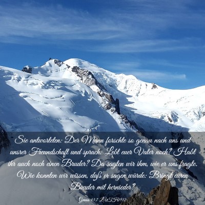 Picture 03 - Genesis 43:7 LUTH1912 - Sie antworteten: Der Mann forschte so genau nach - Bible Verse Picture
