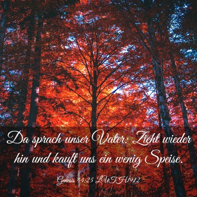 Picture 03 - Genesis 44:25 LUTH1912 - Da sprach unser Vater: Zieht wieder hin und kauft - Bible Verse Picture