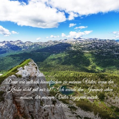 Picture 03 - Genesis 44:34 LUTH1912 - Denn wie soll ich hinaufziehen zu meinem Vater, - Bible Verse Picture