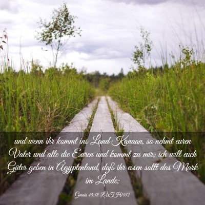 Picture 03 - Genesis 45:18 LUTH1912 - und wenn ihr kommt ins Land Kanaan, so nehmt - Bible Verse Picture