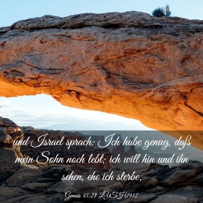 Picture 03 - Genesis 45:28 LUTH1912 - und Israel sprach: Ich habe genug, daß mein Sohn - Bible Verse Picture