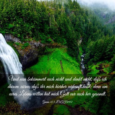 Picture 03 - Genesis 45:5 LUTH1912 - Und nun bekümmert euch nicht und denkt nicht, - Bible Verse Picture