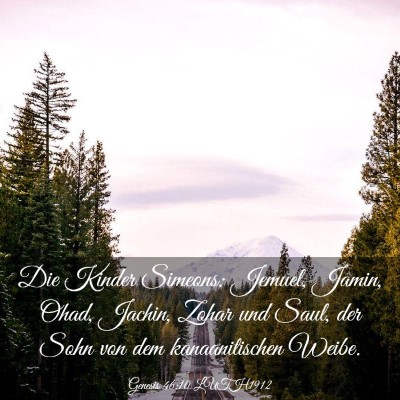 Picture 03 - Genesis 46:10 LUTH1912 - Die Kinder Simeons: Jemuel, Jamin, Ohad, Jachin, - Bible Verse Picture