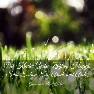 Picture 03 - Genesis 46:16 LUTH1912 - Die Kinder Gads: Ziphjon, Haggi, Suni, Ezbon, - Bible Verse Picture