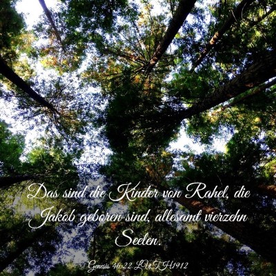 Picture 03 - Genesis 46:22 LUTH1912 - Das sind die Kinder von Rahel, die Jakob geboren - Bible Verse Picture