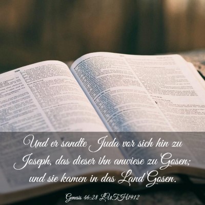 Picture 03 - Genesis 46:28 LUTH1912 - Und er sandte Juda vor sich hin zu Joseph, das - Bible Verse Picture