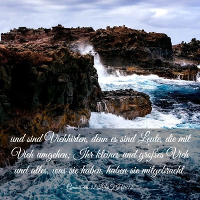 Picture 03 - Genesis 46:32 LUTH1912 - und sind Viehhirten, denn es sind Leute, die mit - Bible Verse Picture