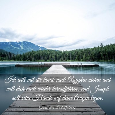Picture 03 - Genesis 46:4 LUTH1912 - Ich will mit dir hinab nach Ägypten ziehen und - Bible Verse Picture