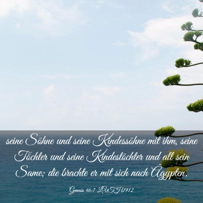 Picture 03 - Genesis 46:7 LUTH1912 - seine Söhne und seine Kindessöhne mit ihm, - Bible Verse Picture