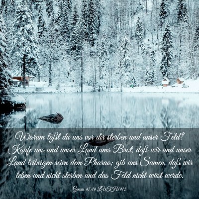 Picture 03 - Genesis 47:19 LUTH1912 - Warum läßt du uns vor dir sterben und unser - Bible Verse Picture