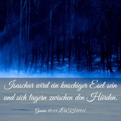 Picture 03 - Genesis 49:14 LUTH1912 - Isaschar wird ein knochiger Esel sein und sich - Bible Verse Picture