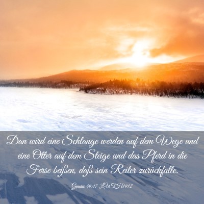 Picture 03 - Genesis 49:17 LUTH1912 - Dan wird eine Schlange werden auf dem Wege und - Bible Verse Picture