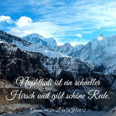 Picture 03 - Genesis 49:21 LUTH1912 - Naphthali ist ein schneller Hirsch und gibt - Bible Verse Picture