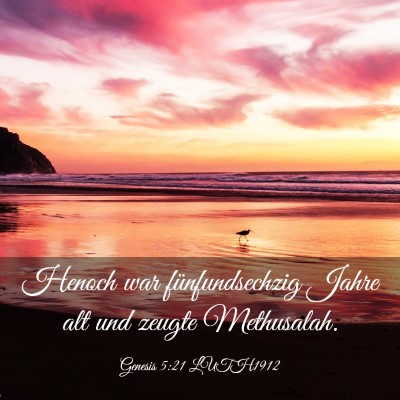 Picture 03 - Genesis 5:21 LUTH1912 - Henoch war fünfundsechzig Jahre alt und zeugte - Bible Verse Picture