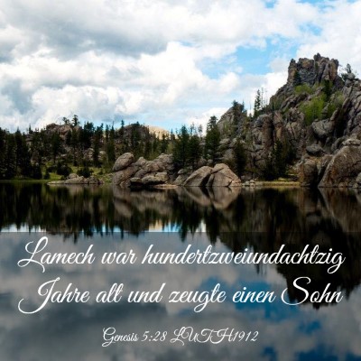 Picture 03 - Genesis 5:28 LUTH1912 - Lamech war hundertzweiundachtzig Jahre alt und - Bible Verse Picture