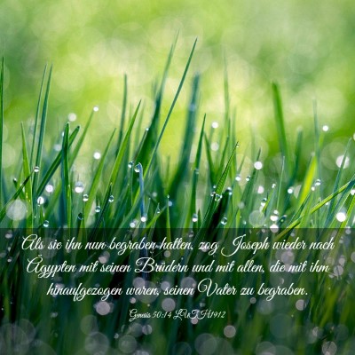 Picture 03 - Genesis 50:14 LUTH1912 - Als sie ihn nun begraben hatten, zog Joseph - Bible Verse Picture