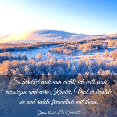 Picture 03 - Genesis 50:21 LUTH1912 - So fürchtet euch nun nicht; ich will euch - Bible Verse Picture