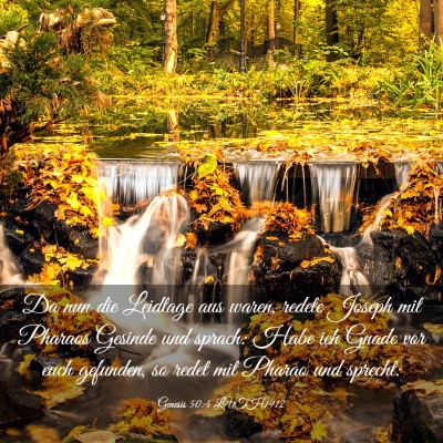 Picture 03 - Genesis 50:4 LUTH1912 - Da nun die Leidtage aus waren, redete Joseph mit - Bible Verse Picture