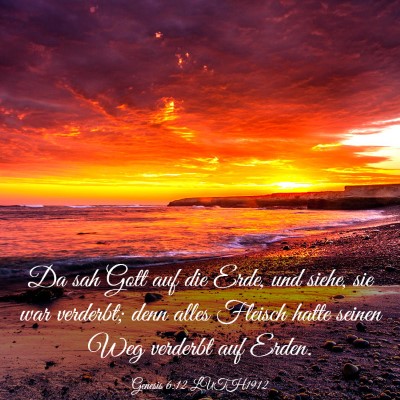 Picture 03 - Genesis 6:12 LUTH1912 - Da sah Gott auf die Erde, und siehe, sie war - Bible Verse Picture