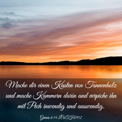 Picture 03 - Genesis 6:14 LUTH1912 - Mache dir einen Kasten von Tannenholz und mache - Bible Verse Picture