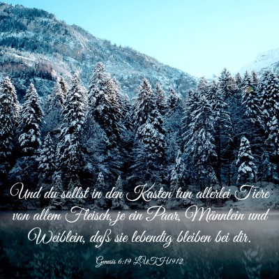 Picture 03 - Genesis 6:19 LUTH1912 - Und du sollst in den Kasten tun allerlei Tiere - Bible Verse Picture